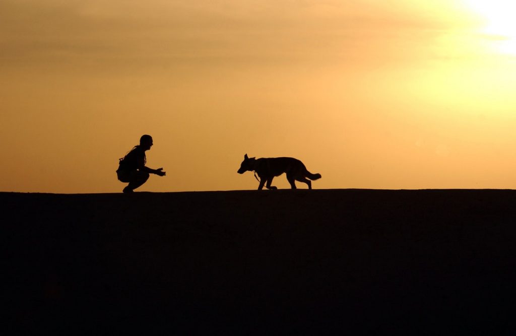 dog-trainer-silhouettes-sunset-38284